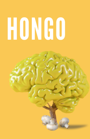 HONGO: OTR Reading